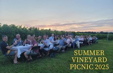 Ravinous ONE Summer Vineyard Picnic 2025 1